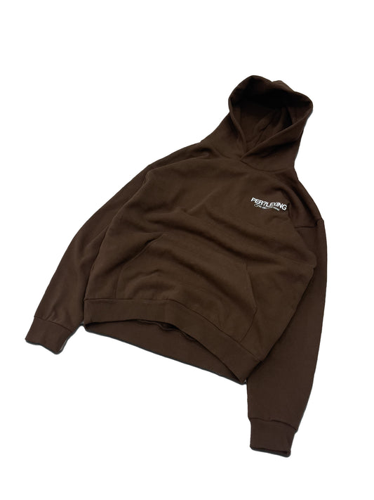 PERPLEXING FOR THOSE WITH ERRORS HOODIE